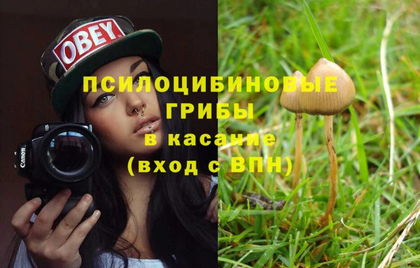 кристаллы Алзамай