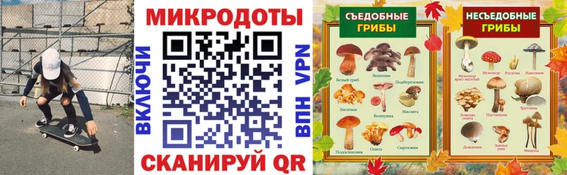 Галлюциногенные грибы Cubensis  ссылка на мегу зеркало  Кирово-Чепецк 